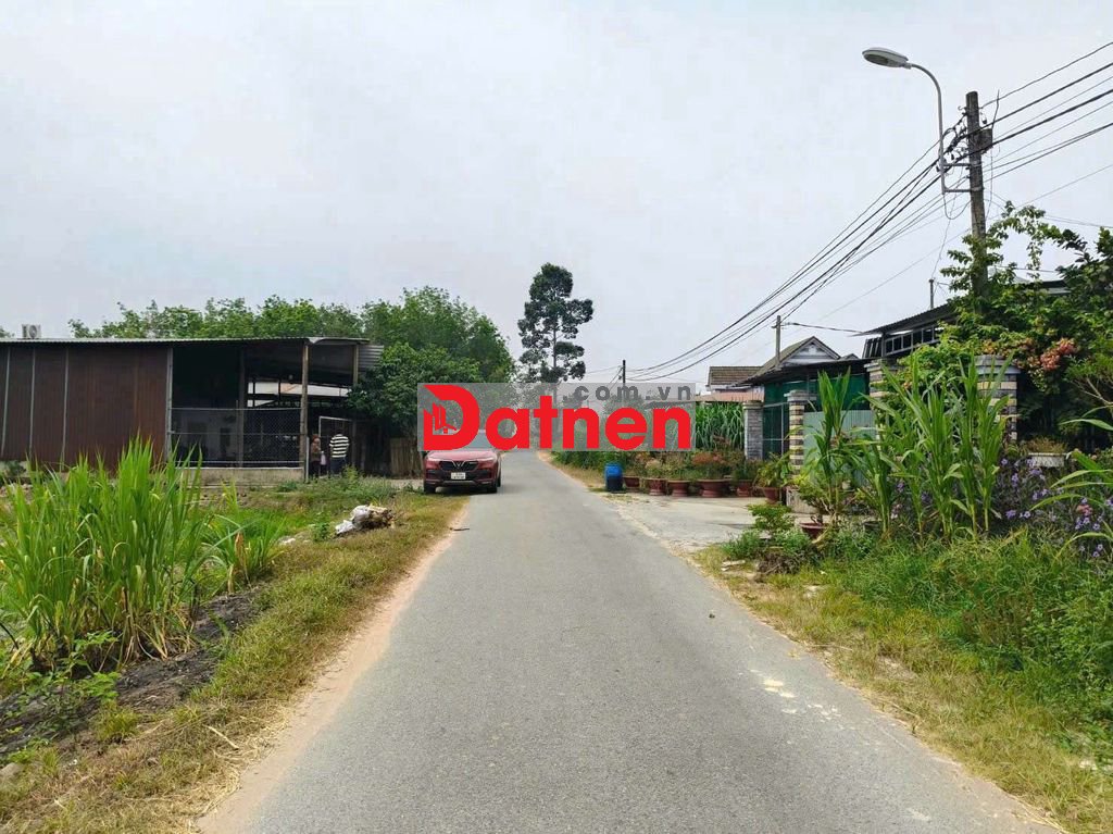BÁN ĐẤT MẶT TIỀN. ĐƯỜNG HỐ BÒ. CỦ CHI
