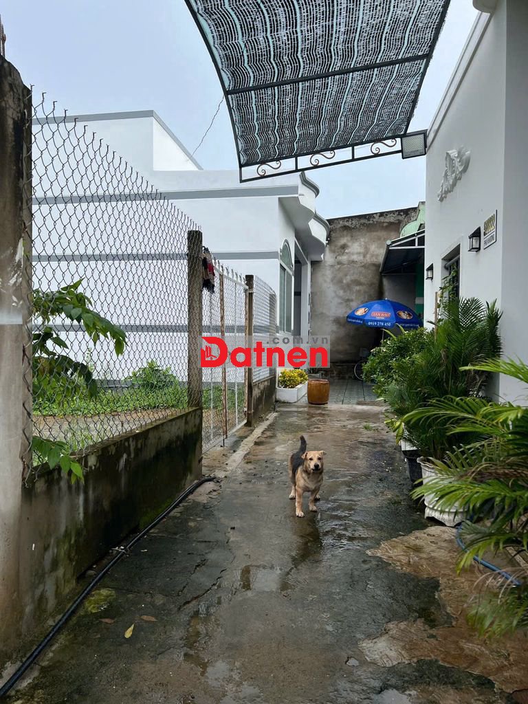 BÁN LÔ ĐẤT NỞ HẬU ĐẸP – HẺM CÔNG CHỨNG NGỌC HÂN (VÀO 200M)