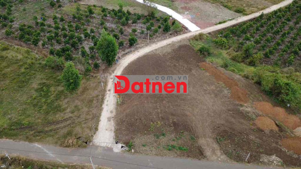 BÁN LÔ ĐẤT 183M2 CÓ 80 THỔ CƯ SỔ RIÊNG