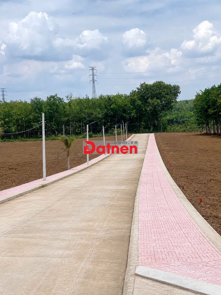 CẦN TIỀN BÁN CẮT LỖ – ĐẤT FULL THỔ CƯ CHỈ 190TR