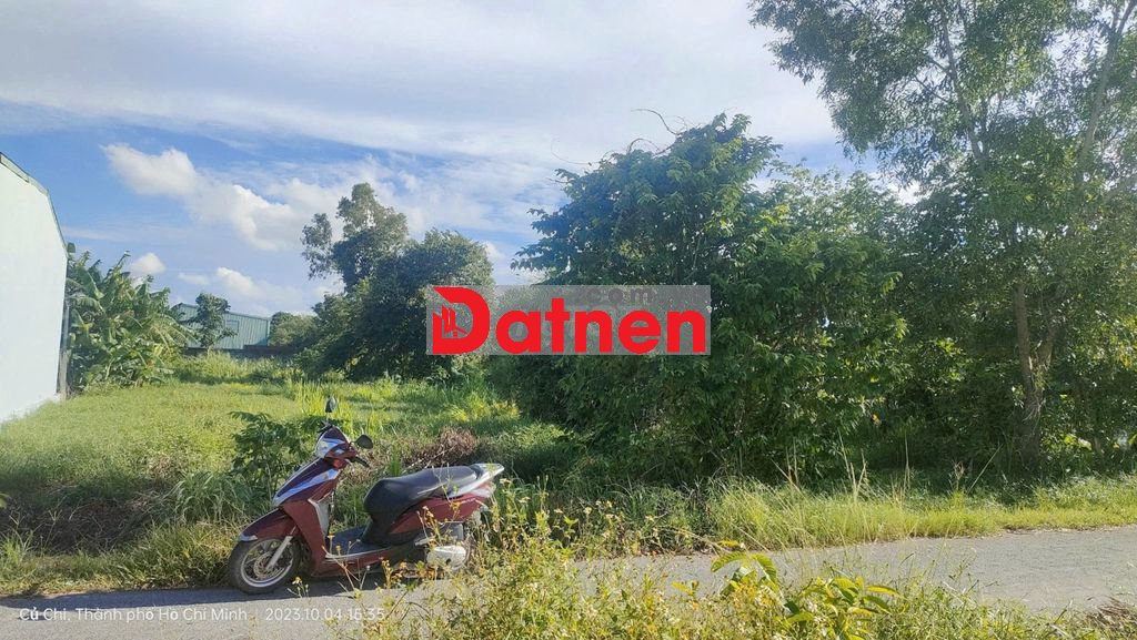 🌳 QUỸ ĐẤT HƠN 1.000M² – TÂN PHÚ TRUNG, CỦ CHI – SHR – 990 TRIỆU 🌳