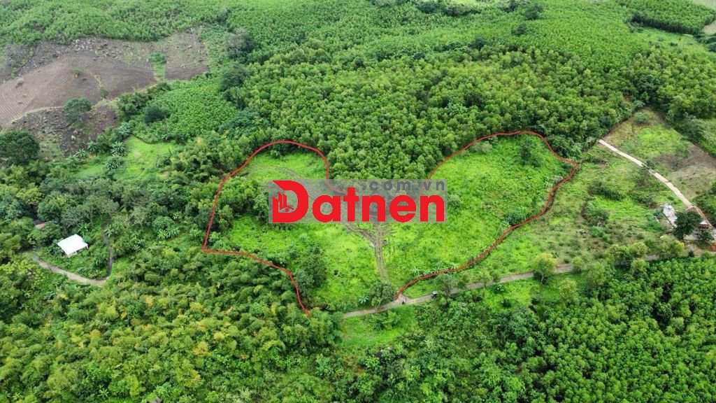 Đất vườn sông Hinh Phú Yên