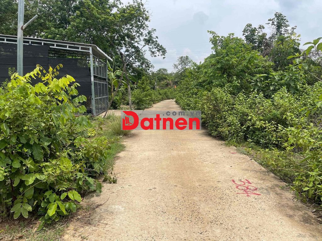 Chính chủ cần bán đất Bình Phước