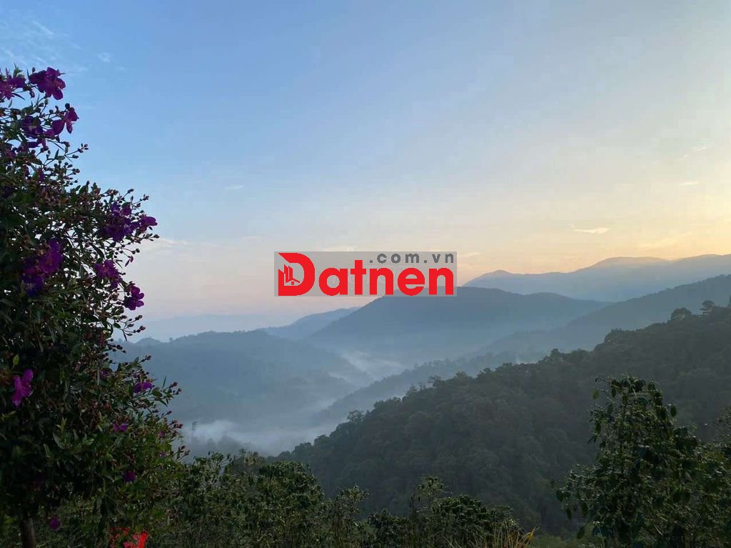 Đất nghỉ dưỡng, làm home stay, thiền định, du lịch sinh thái
