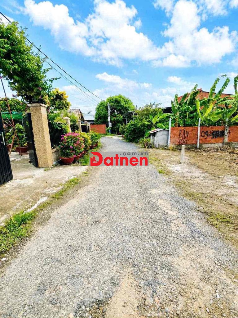Đất Thổ Cư 5x20m Đường Nhựa KP Xóm Mới Phường Gò Dầu giá chỉ 449tr