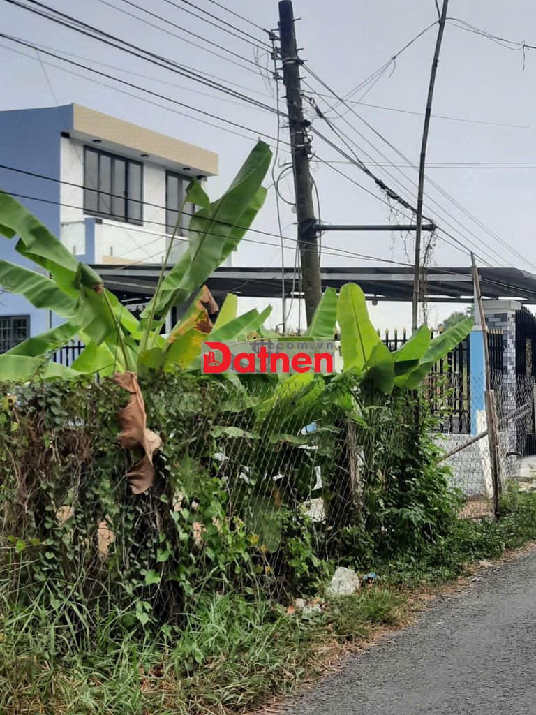 bán đất mặt tiền đường nhựa xã bình an thủ thừa dt (5 x 40 = 200m2)