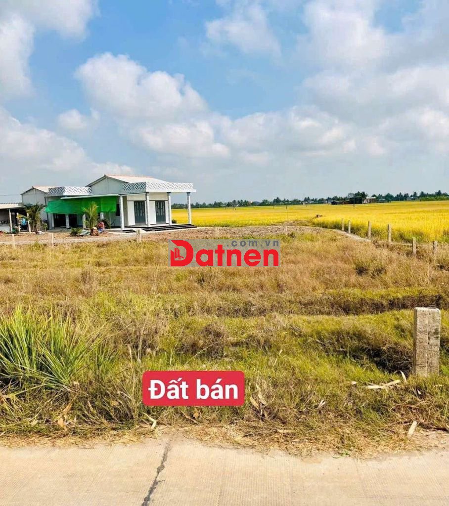 5×25 ( 127m2) bêtông 5m sát ngay trung tâm ngã tư Lạc tấn 350tr ngộp