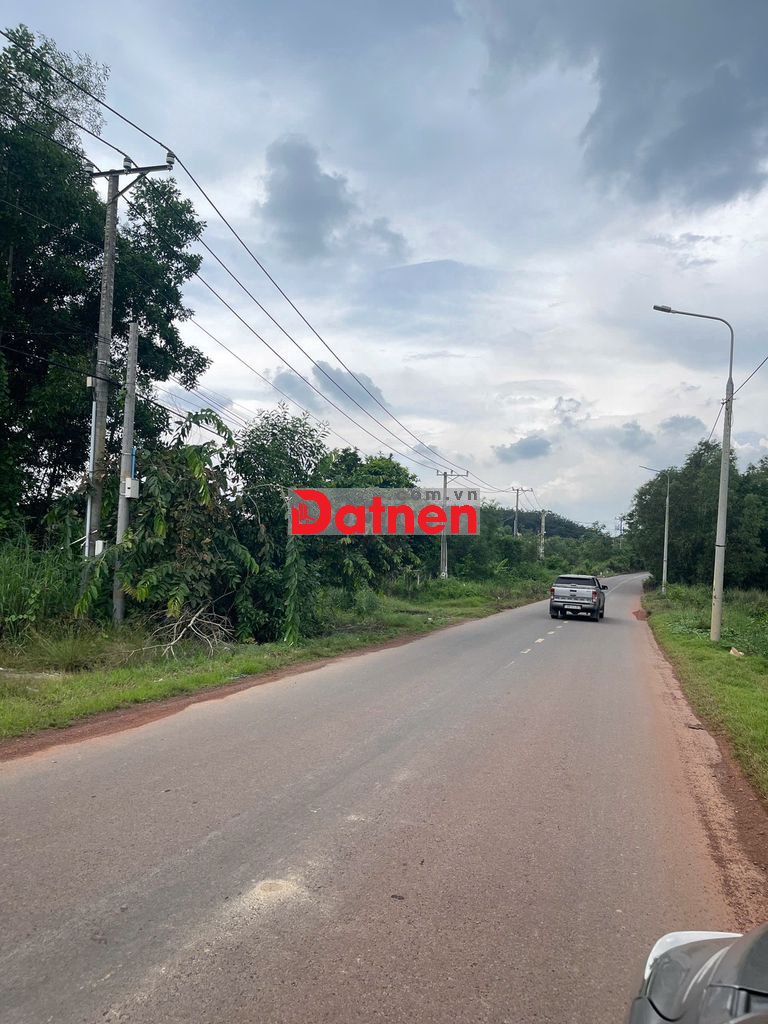 ĐẤT THỔ CƯ ĐƯỜNG NHỰA 101