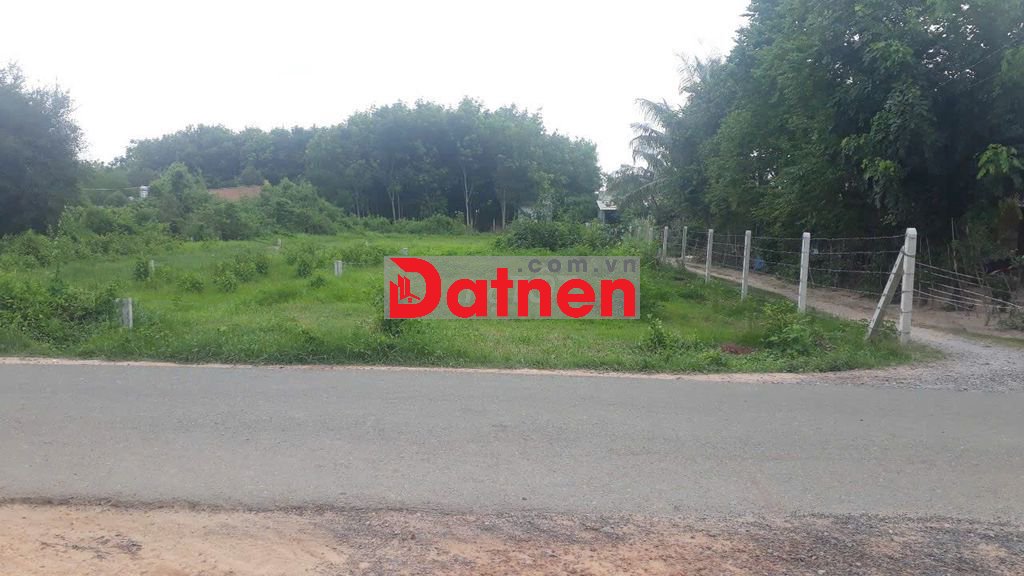 ĐẤT 223m2 Ở CỦ CHI GIÁ MỀM CHỜ CHỦ MỚI