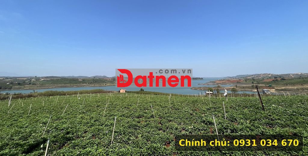 Chính chủ bán 1 sào đất view hồ Đại Ninh, cách hồ 40m, sổ riêng