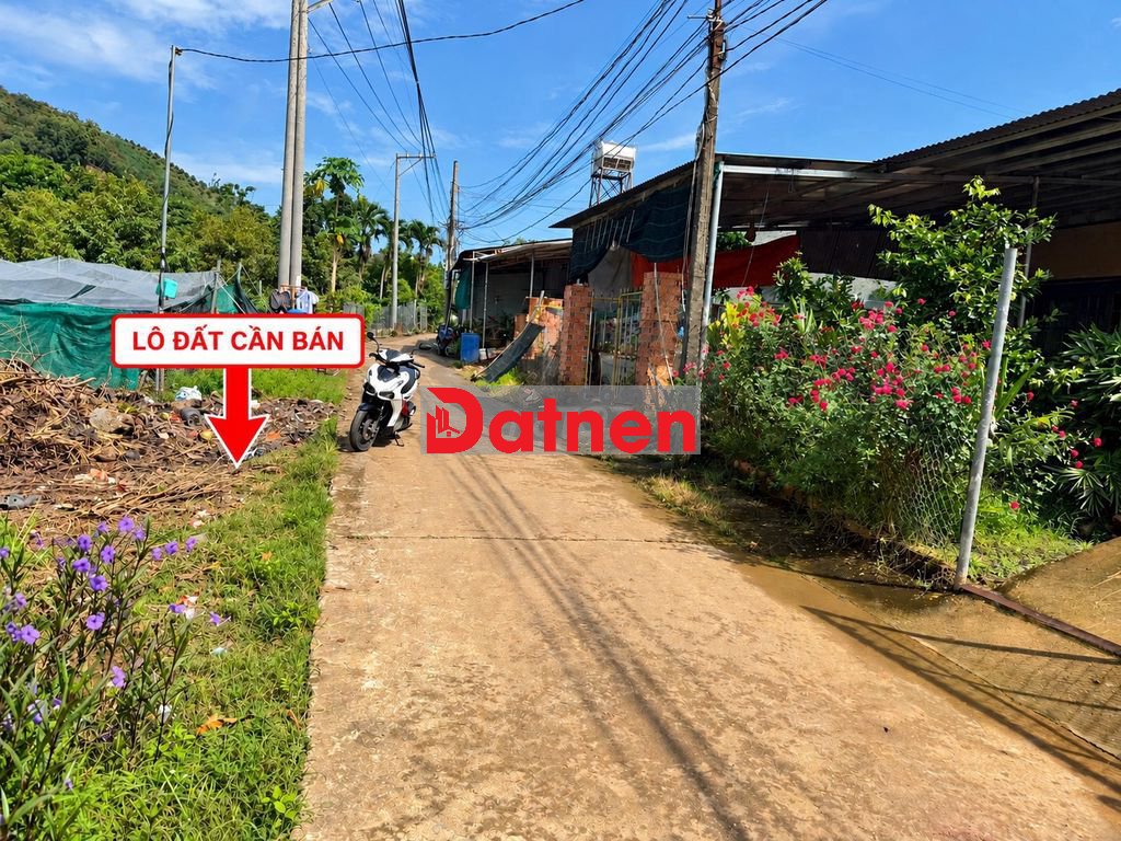BÁN ĐẤT TÂN PHÚ – ĐỒNG NAI | 554,4M² | 100M² THỔ CƯ | 2,1 TỶ