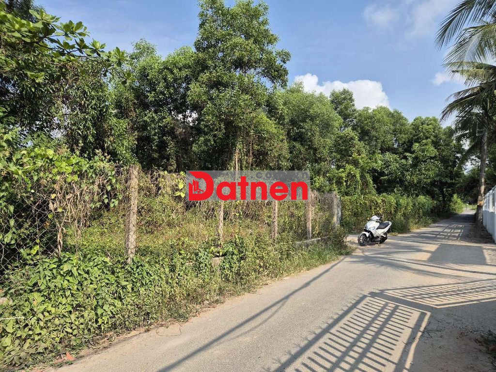 Đất mặt tiền đường số 12