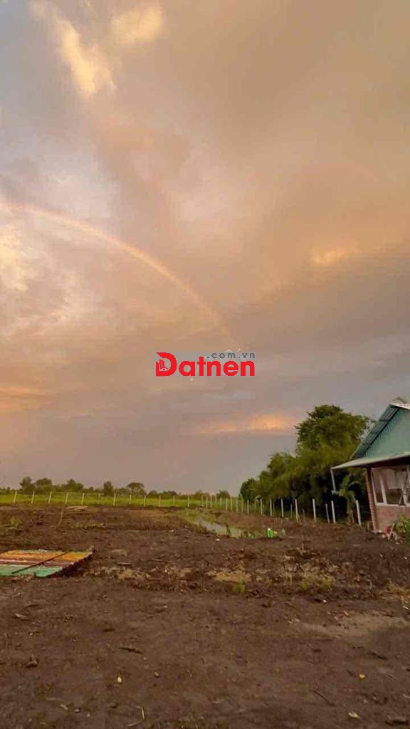 Bán đất trung an , ven sông sài gòn thổ cư 300m