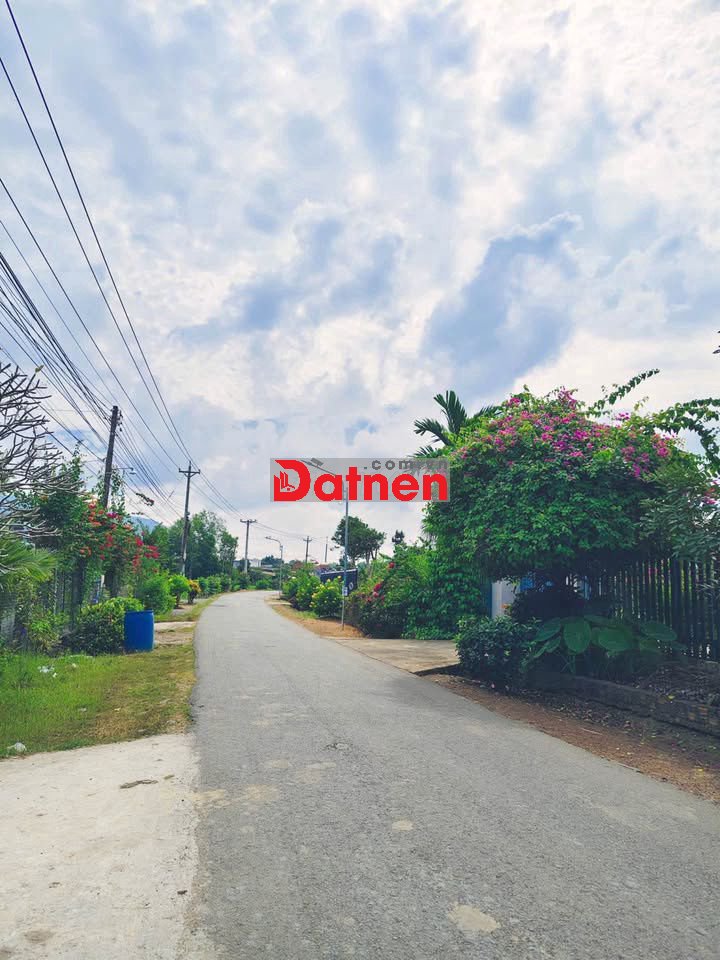 🔥 220 TRIỆU – HƠN 500m² nay 1 XẸT ĐƯỜNG NHỰA ĐOÀN THỊ ĐIỂM, TRỊ AN 🔥