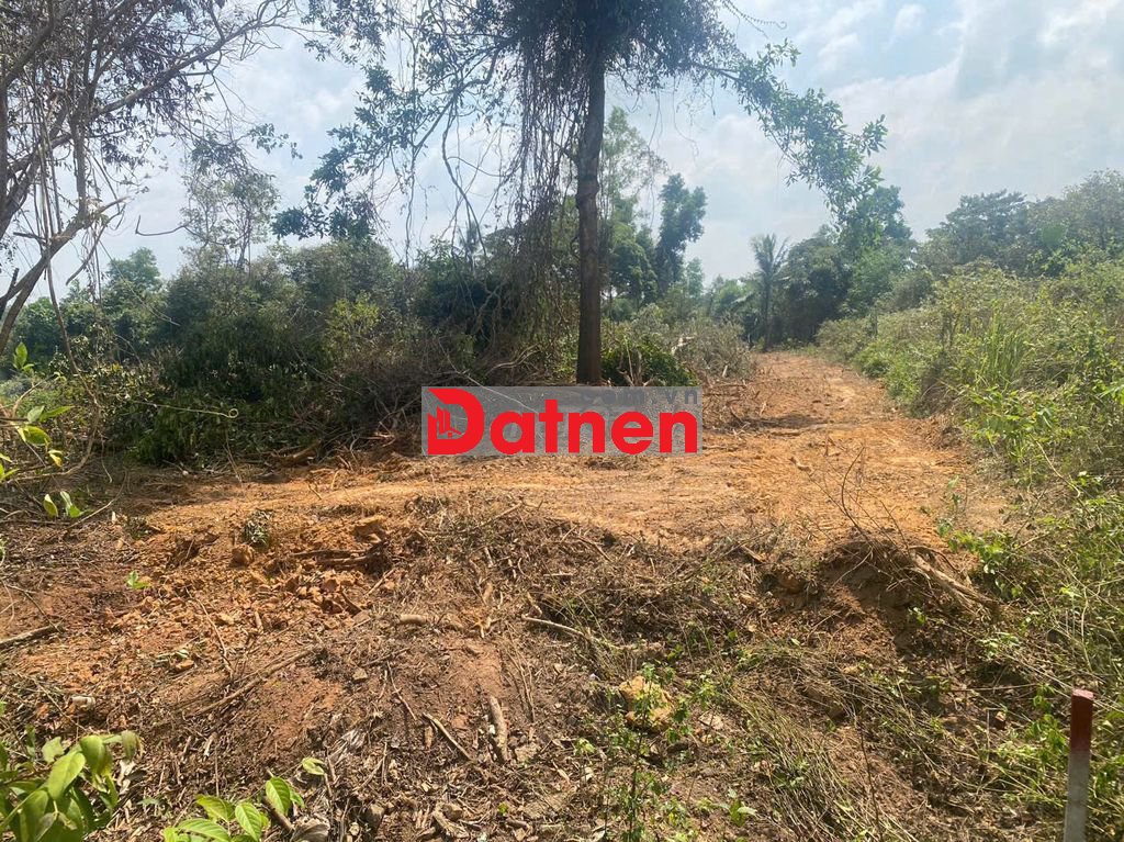 🔥 SIÊU PHẨM ĐẤT PHÚ QUỐC — ĐẦU TƯ SINH LỜI CỰC MẠNH