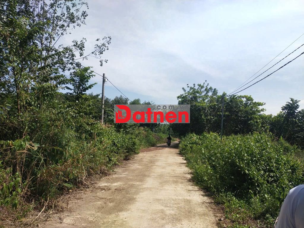 Chính chủ kẹt tiền đất Tân Khai 386m2 600 triệu