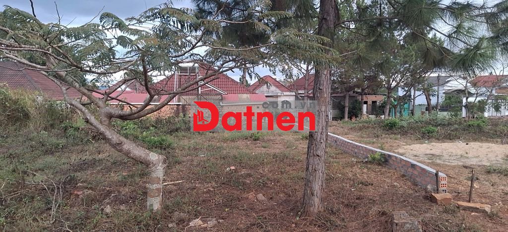 BÁN ĐẤT MẶT TIỀN ĐƯỜNG LÊ THÀNH PHƯƠNG