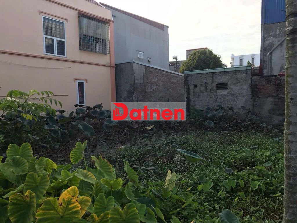 Cần bán đất ở Trang Quan , An Hải, Hải Phòng