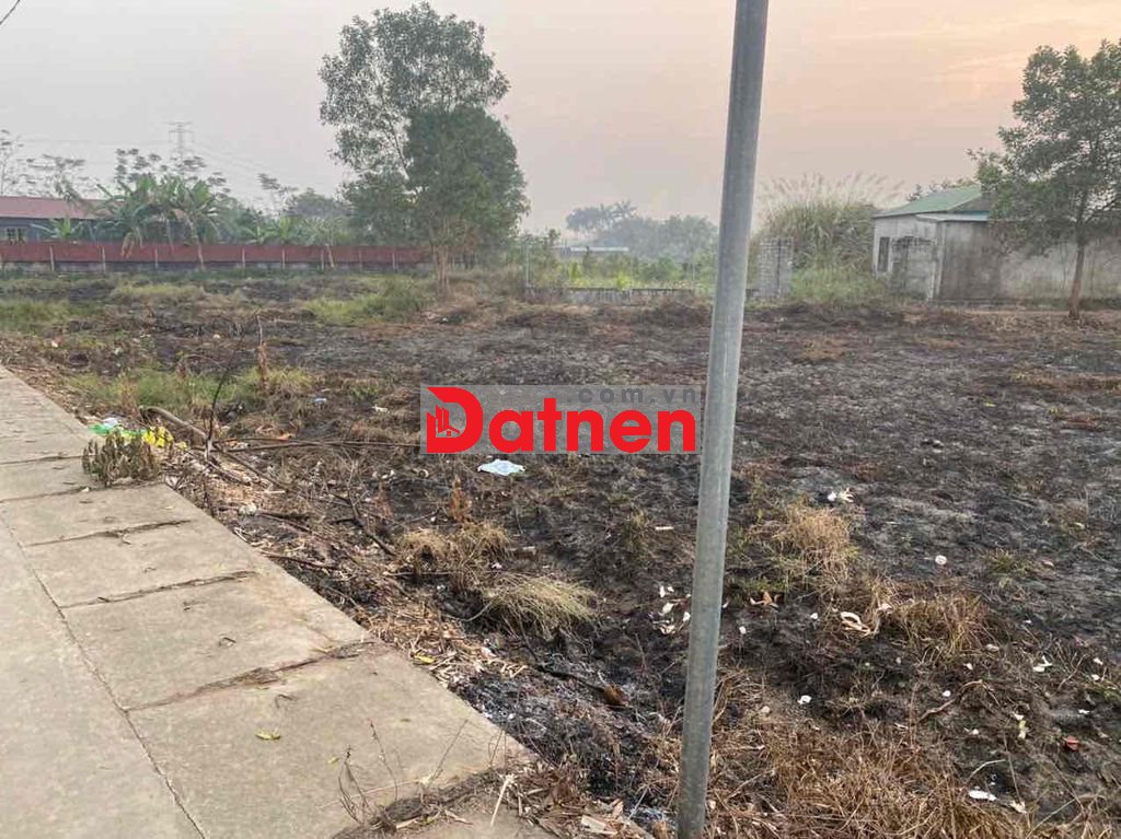 Cần bán gấp đất trồng lúa Ngọc Mỹ