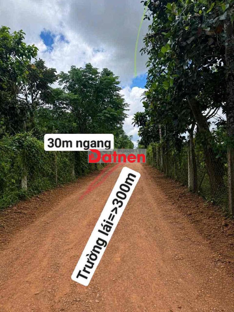 bán đất thổ cư gia đình
