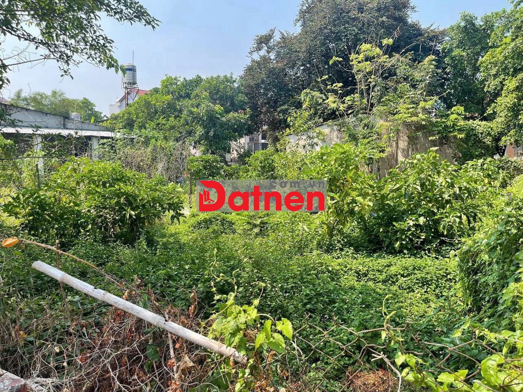 ĐẤT BIỆT THỰ NGANG 20M 439M2 ĐẠI LỘ BÌNH DƯƠNG
