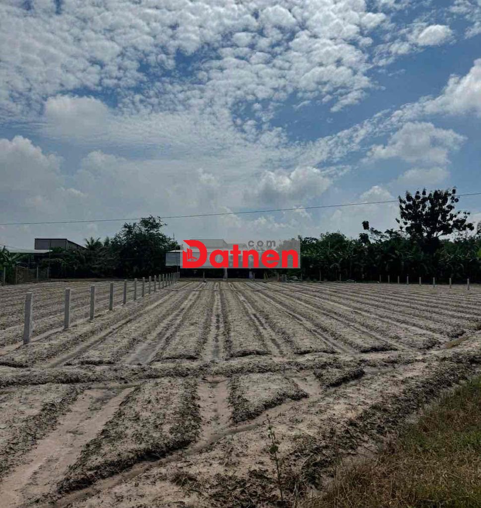 chính chủ cần bán gấp đất gần Ving930 ha - Bến Long- Tân Mỹ - LA cũ