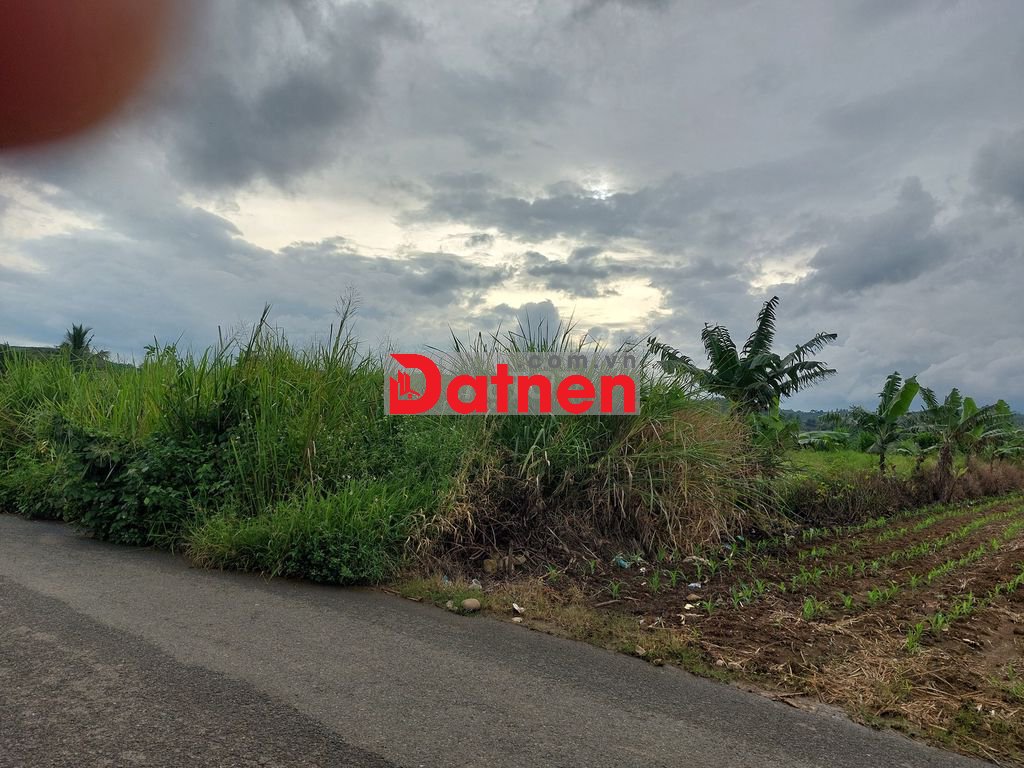 Đất thổ cư 33m mặt tiền đường nhựa khu dân cư