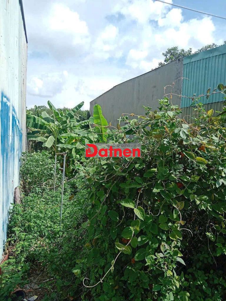 Bán đất phú mỹ ngay đường phạm ngọc thạch chạy vào 200m