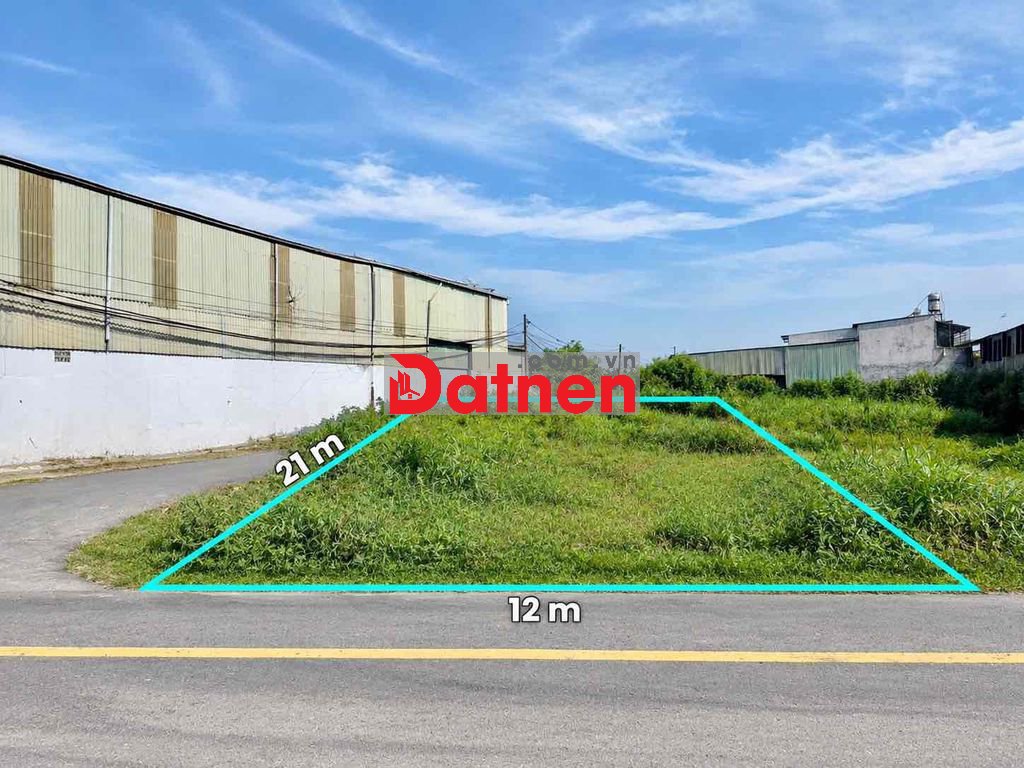 250m2 Bán ngộp trong tuần sẵn 165m2 Thổ Cư, SHR Tân Phú Trung Củ Chi
