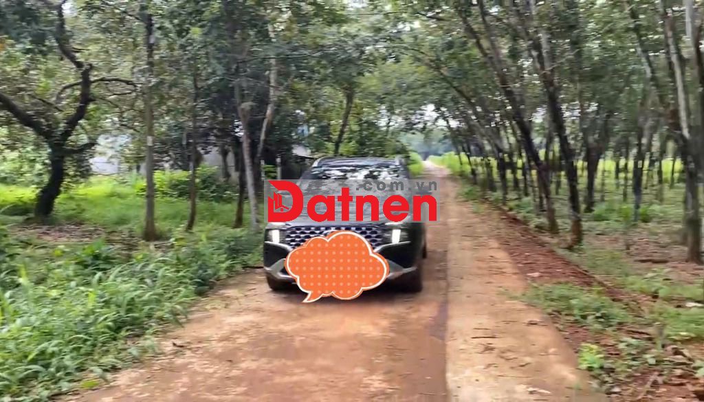 Bán 1 hecta đất có 400m2 TC 4 mặt tiền-CCN Bù Nho Phú Riềng - Đồng Nai