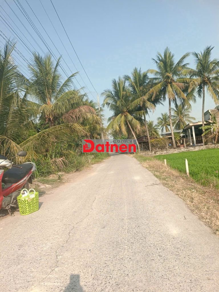 Bán đất 8x65 full thổ cư xã An Ninh Đông