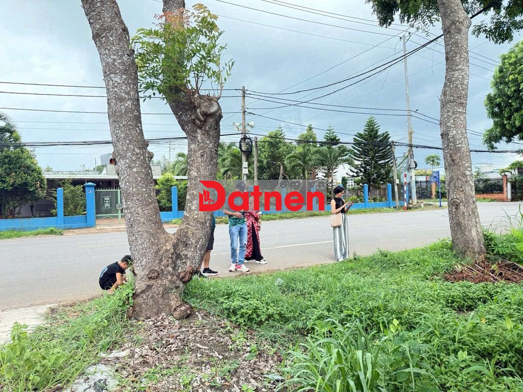 MT Quốc Lộ 56, Hòa Long, Thành Phố Bà Rịa- Vũng Tàu. DT 10743