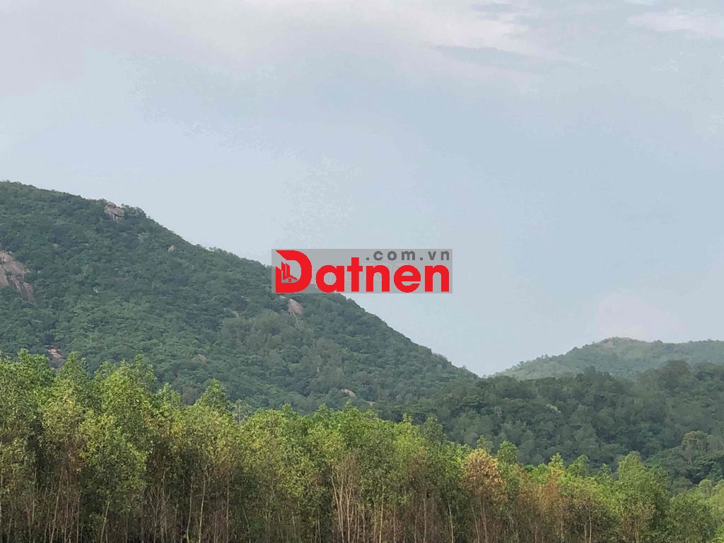cần tiền bán rẻ đất