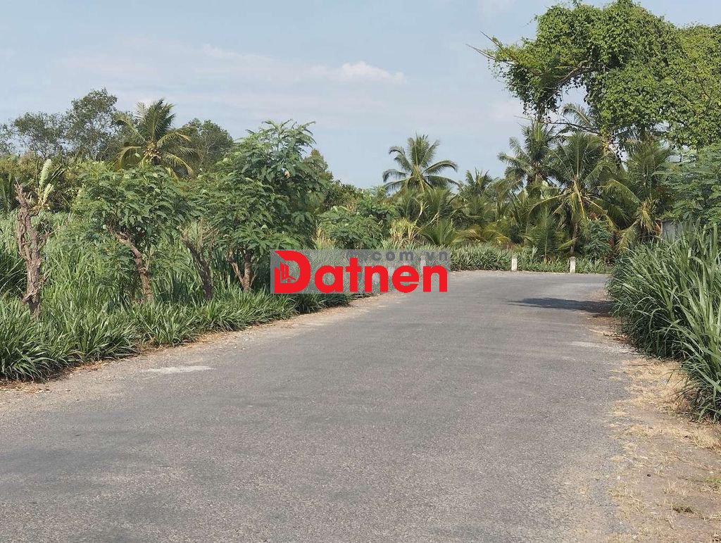 BÁN ĐẤT Ở +ĐẤT VƯỜN Xã PHÚ TÚC CHÂU THÀNH BẾN TRE cũ (ĐẤT CHÍNH CHỦ)
