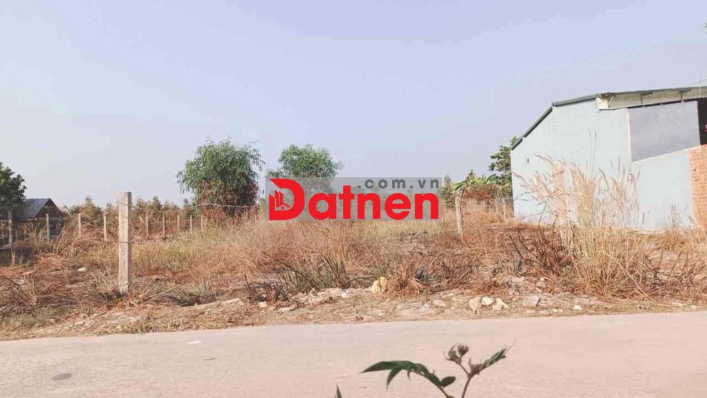 Đất dân ở ấp thạnh nghĩa, xã thạnh đông, tân châu, TN