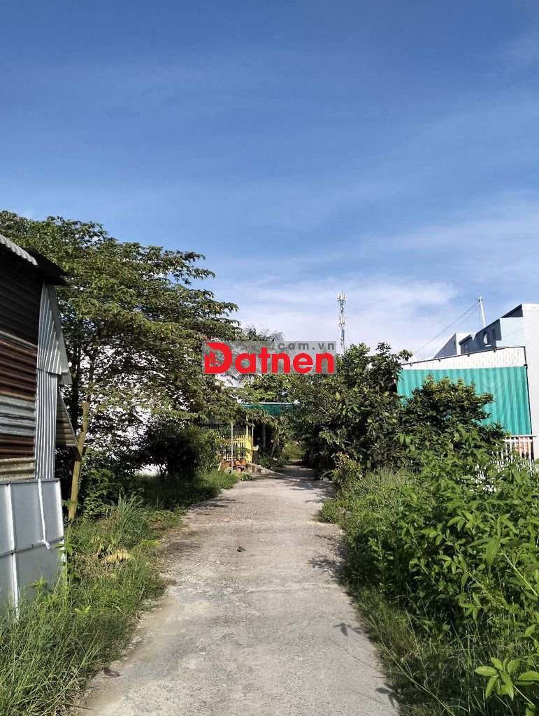 bán 1 cặp nền thổ cư