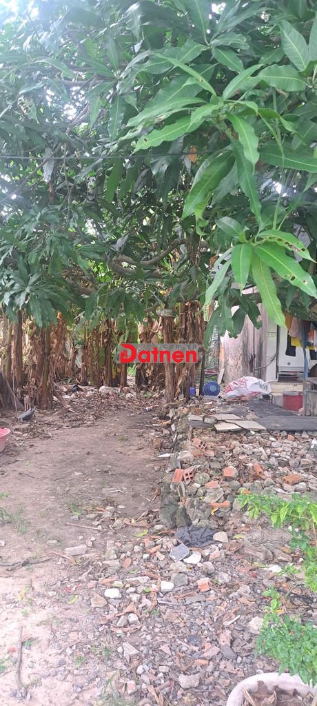 CẦN BÁN ĐẤT SỔ ĐỎ RIÊNG HÓC MÔN