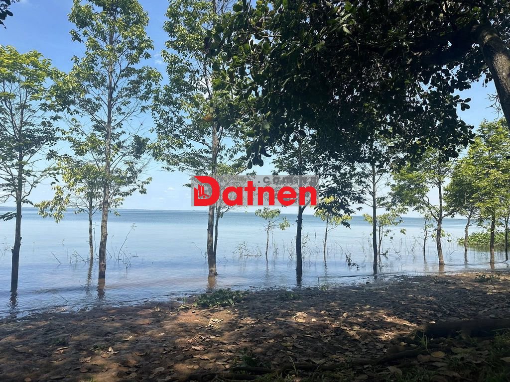 🌊 ĐẤT MẶT HỒ TRỊ AN có 100m2 THỔ CƯ – Hàng Hiếm CHỈ 1,99 TỶ/ 2100m2