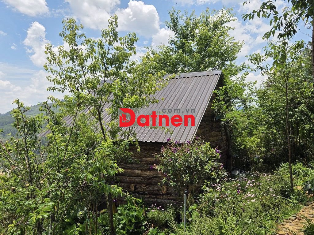 Một vườn đồi 1200m² yên bình ở Đồng Nai, nơi “hương mùa vương áo" 🌿