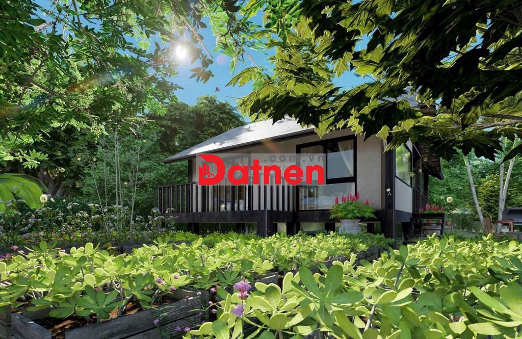 🌿650TR SỞ HỮU NGAY ĐẤT VƯỜN 1.196M² GẦN HỒ – QUY HOẠCH ĐẤT Ở NÔNG THÔN