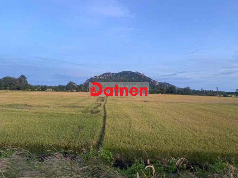 cần bán đất chính chủ mặt tiền quốc lộ 91 vĩnh tế an giang châu đốc .