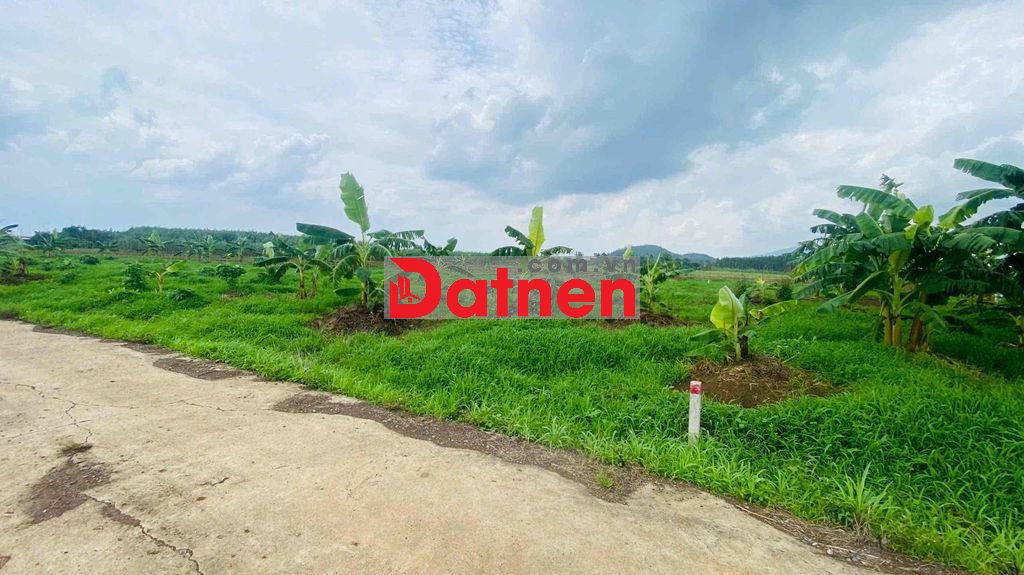 Đất vườn 2035m2 ngag 48m đường ôm quanh đất rất đẹp.
